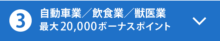 自動車業／飲食業／獣医業