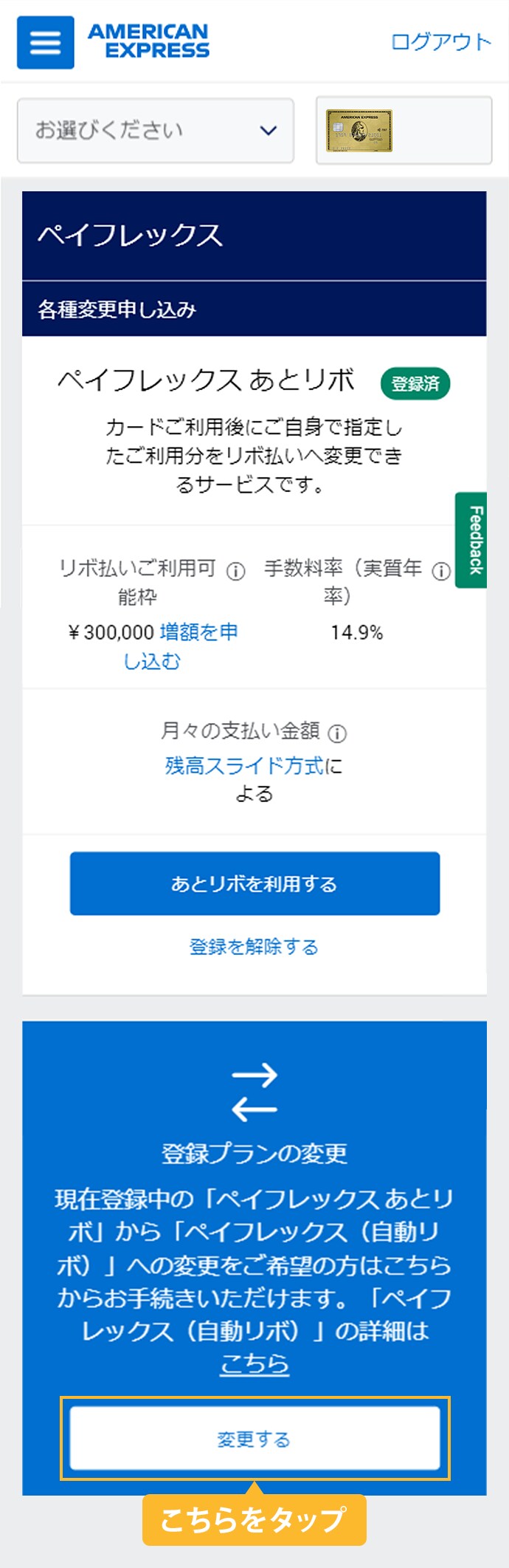 ペイフレックスご利用方法 クレジットカードはアメリカン エキスプレス アメックス