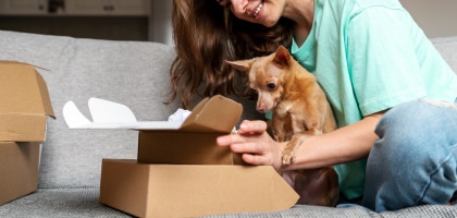 Meses sin Intereses con Amex