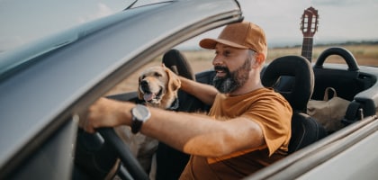 Meses sin Intereses con Amex