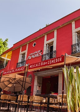 Corazón de maguey - Restaurantes Corporate - american express