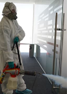 Grupo Rosmar - Servicios - American Express