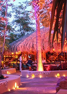 Santo Coyote - Restaurantes Corporate - American Express