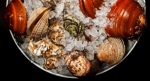 americanexpress_viajes_ofertas_mesessinintereses_price-travel