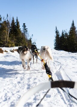 americanexpress_ofertas_mesessinintereses_promociones