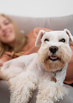 americanexpress_ofertas_mesessinintereses_promociones