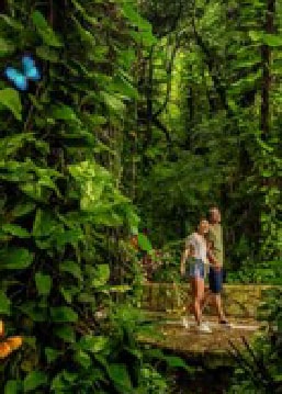 americanexpress_ofertas_mesessinintereses_promociones