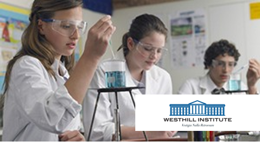 americanexpress_tarjetas_beneficios