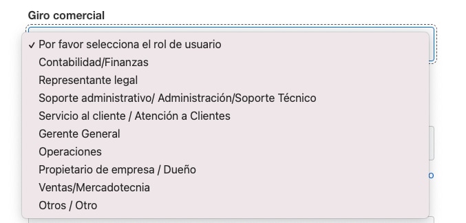 Screenshot of User Role options