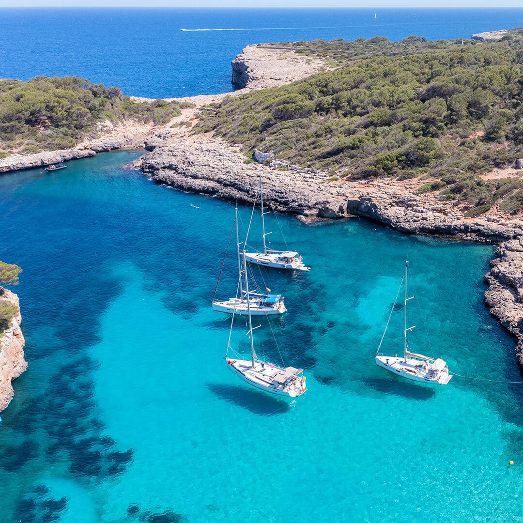 Flying Blue benefits