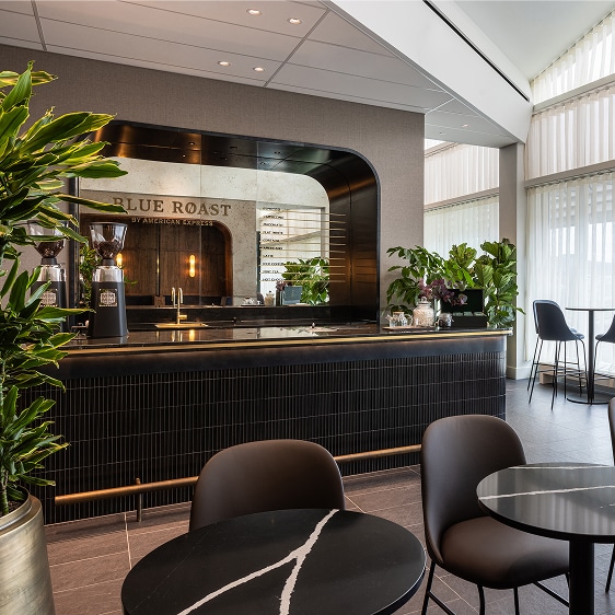 Lounge Bar