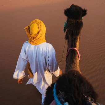 The Hotel Collection