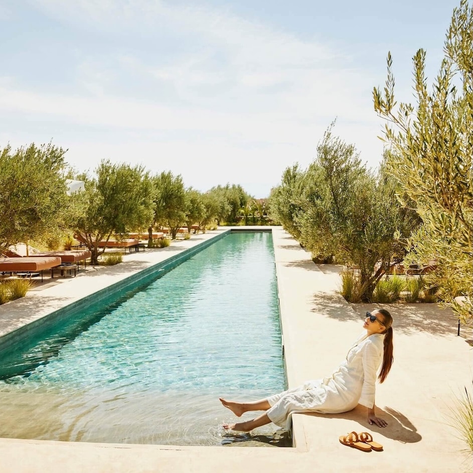 The Hotel Collection