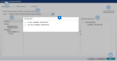 report customized hierarchy