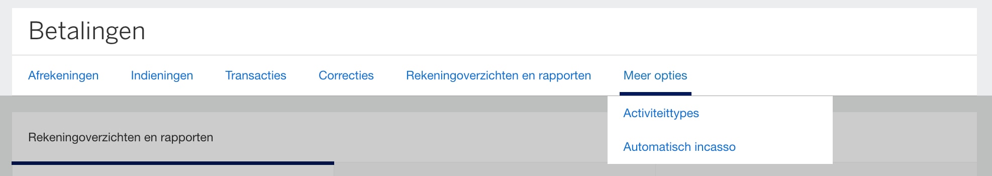 Screenshot of Payments Navigation