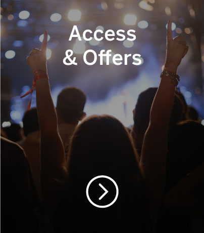 Crowd at a music concert