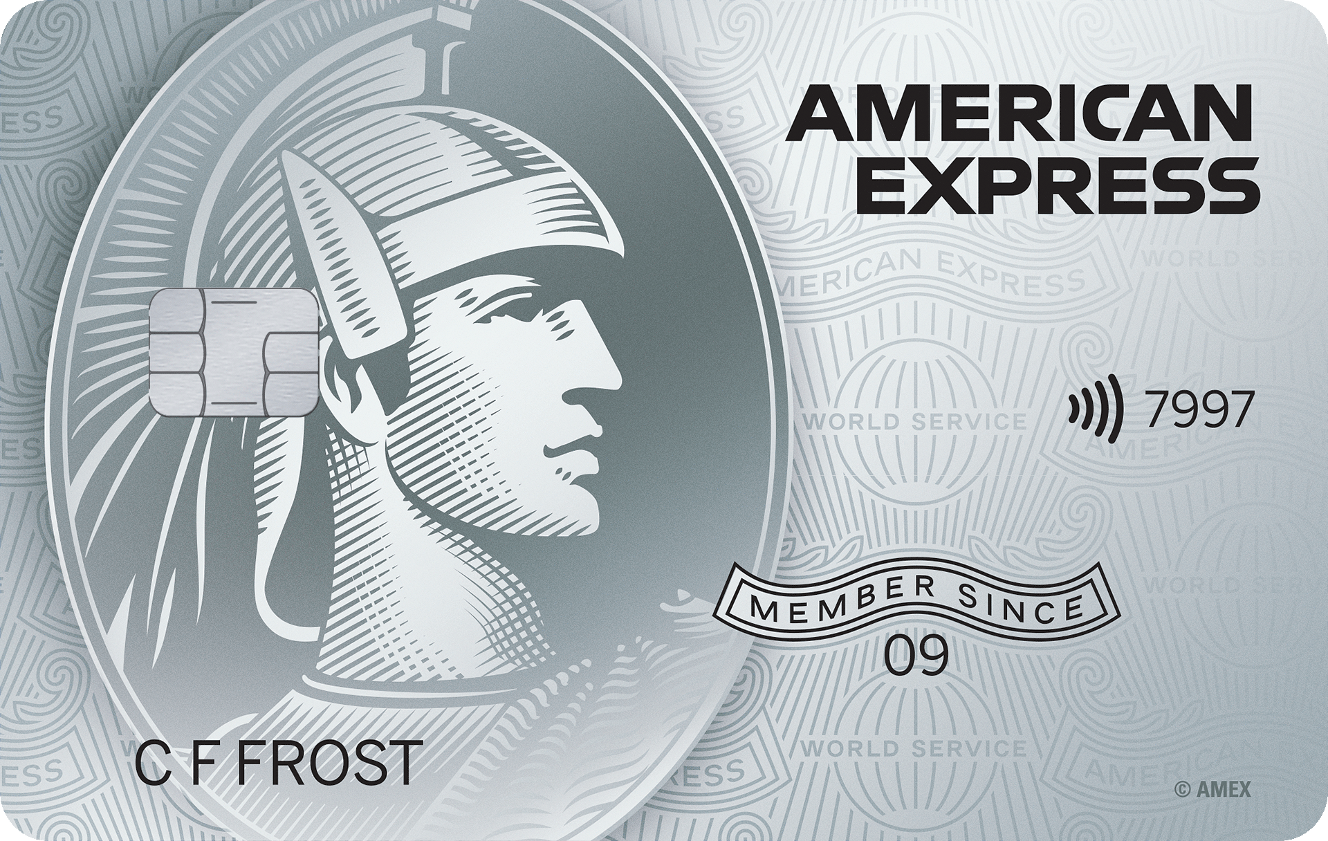 The American Express Platinum Credit Card