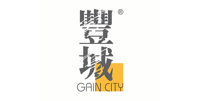 Gain City