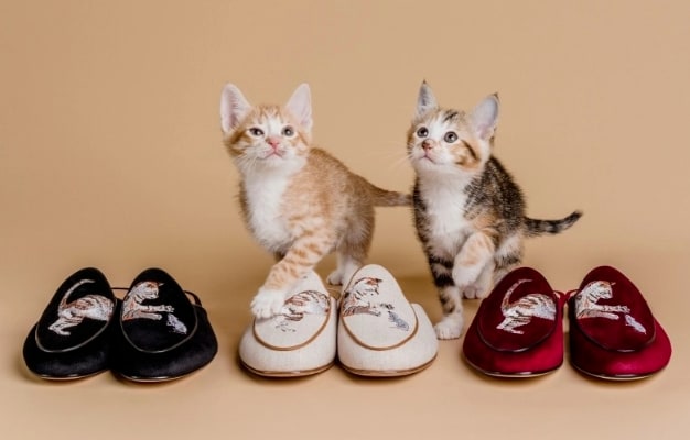 'Catch Me If You Can' Embroidered Linen Loafers