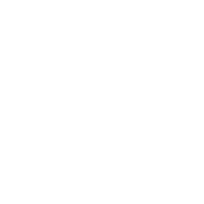 Shop Small Logo