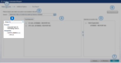 report customized filter