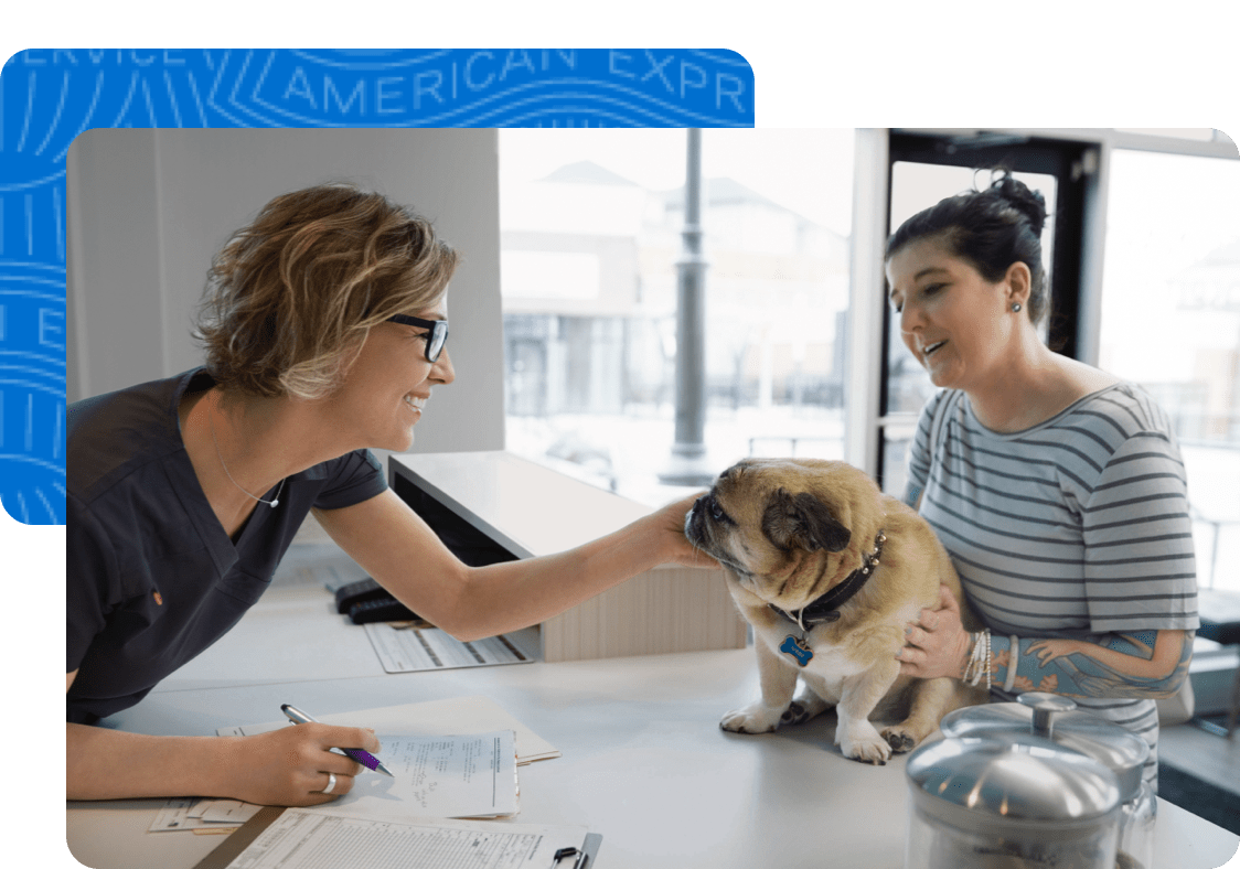 A veterinarian greeting a dog owner with her pet at a clinic.
