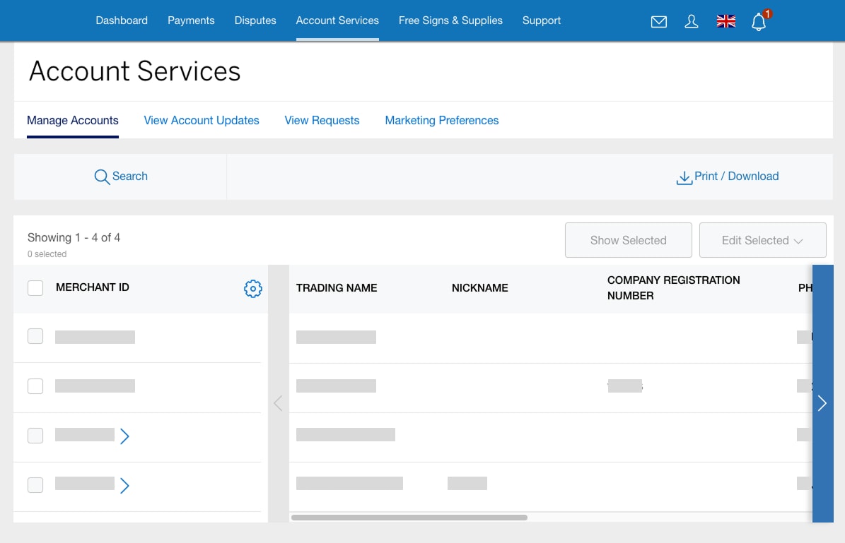 Screenshot of the View/Update tab under Account Services