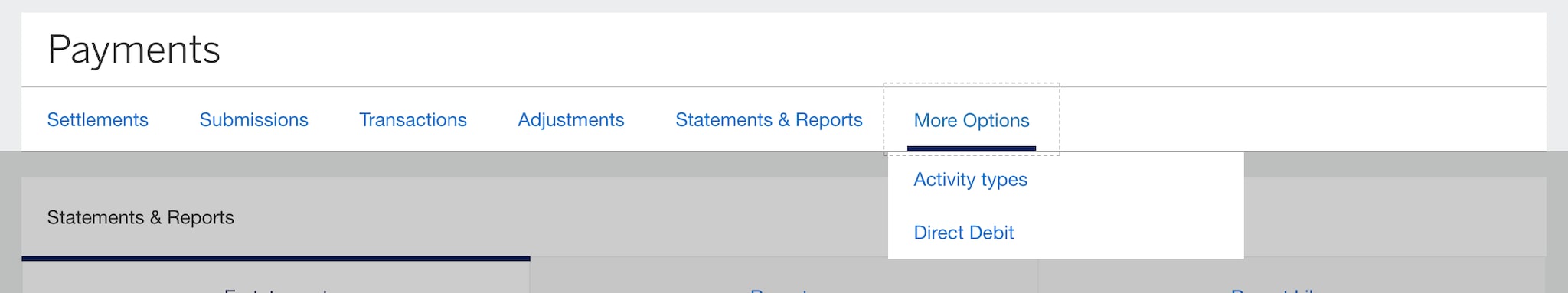 Screenshot of Payments Navigation