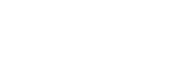 capillary