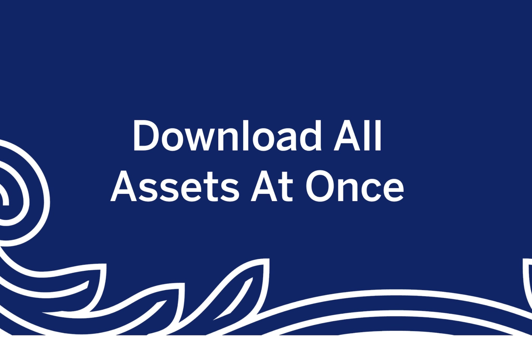 Download All Assets