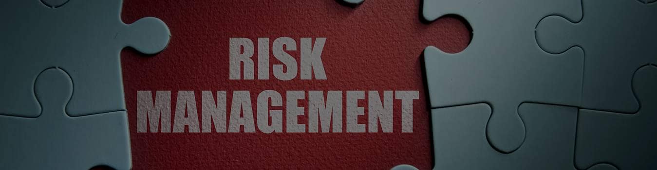 Foreign Exchange Risk Management To Control Cost Of Funds American - 