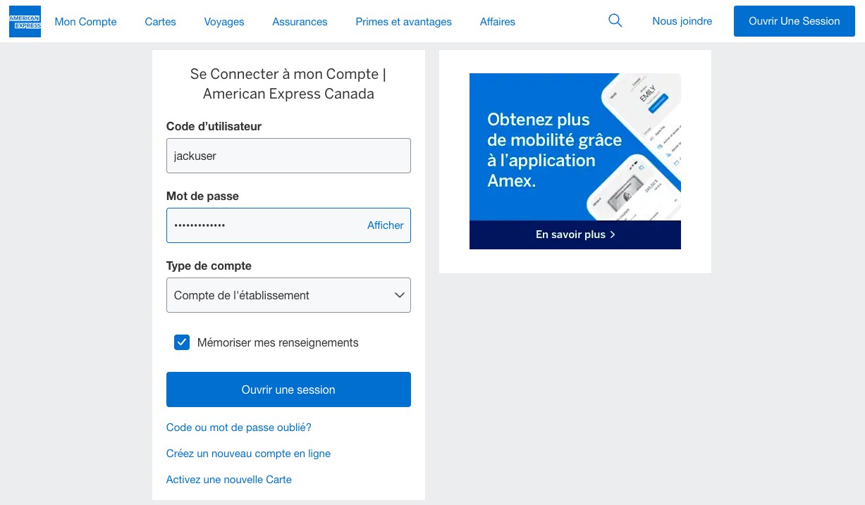 Screenshot of login screen