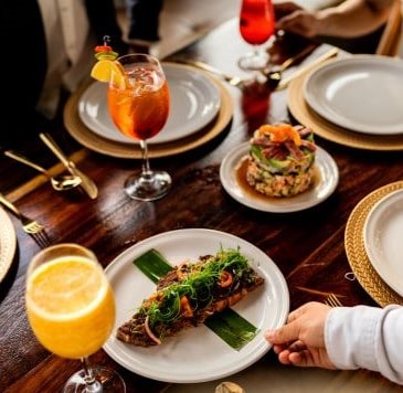 Elite Partner Programs