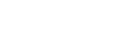 American Express Business Intel