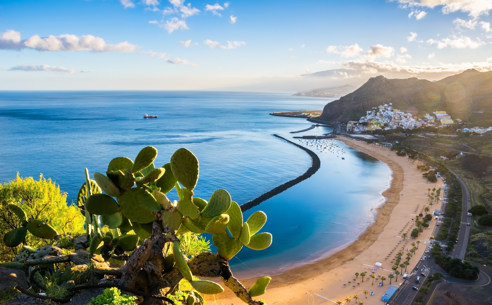 Aufsicht einer Bucht mit Sandstrand und Ortschaft, im Vordergrund Kakteen auf einem Felsvorsprung Aufsicht einer Bucht mit Sandstrand und Ortschaft, im Vordergrund Kakteen auf einem Felsvorsprung