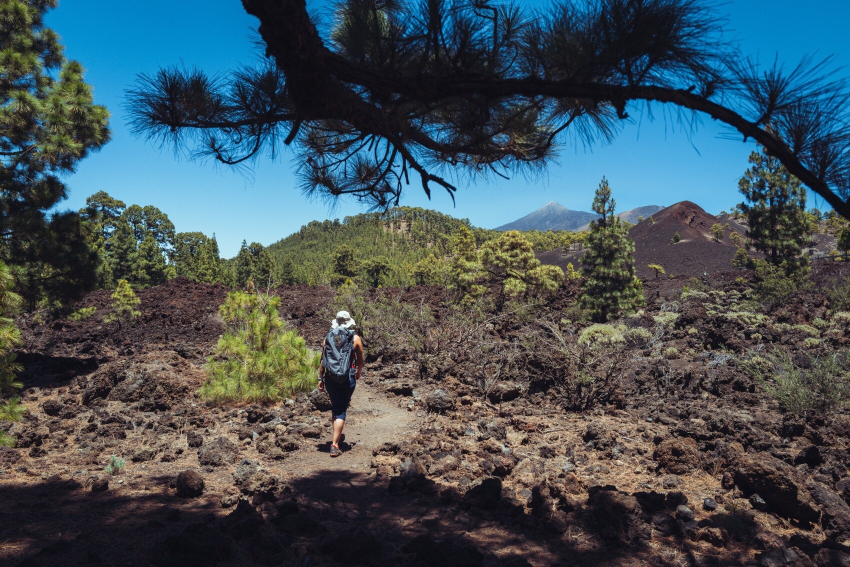 Eine Person mit Sonnenhut und Rucksack läuft durch eine Landschaft aus schwarzem Lavagestein mit vereinzelten Bäumen Eine Person mit Sonnenhut und Rucksack läuft durch eine Landschaft aus schwarzem Lavagestein mit vereinzelten Bäumen