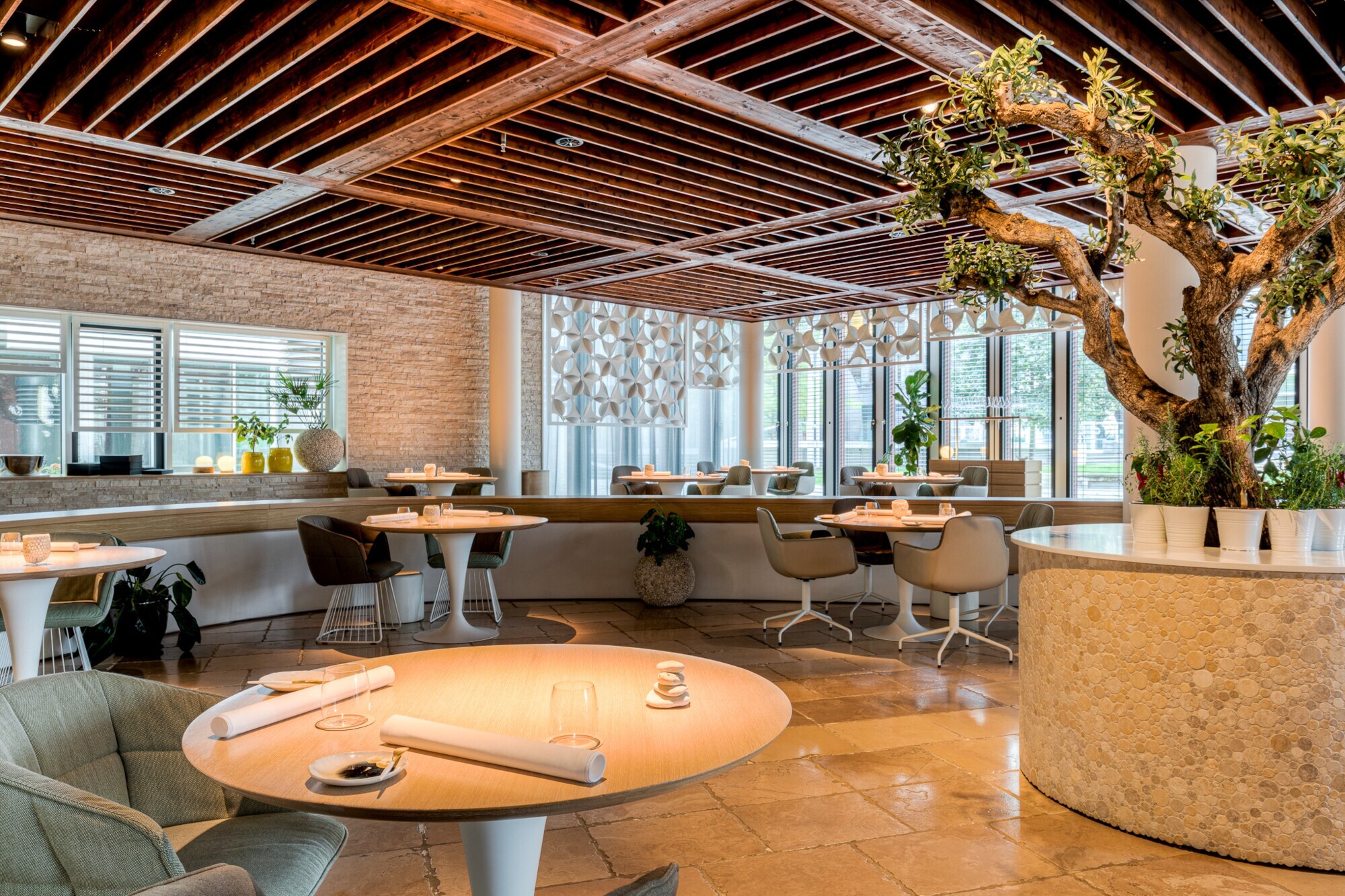 Modernes Restaurant mit runden Tischen und einem Olivenbaum in einem Rundbeet.