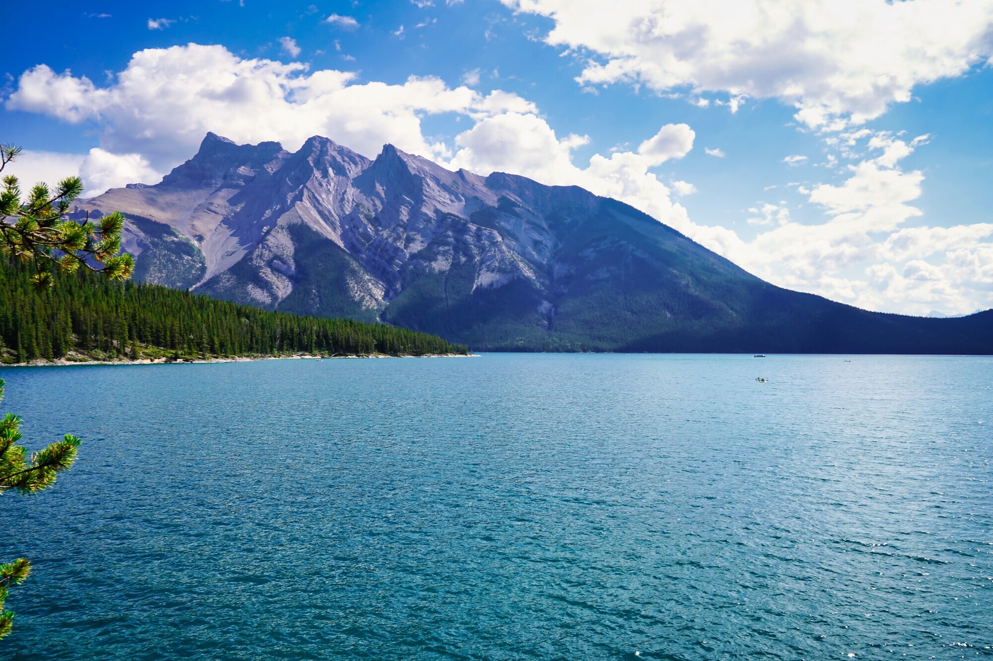 Ein türkisfarbener See vor einem Gebirge und einem kleinen Waldstück.