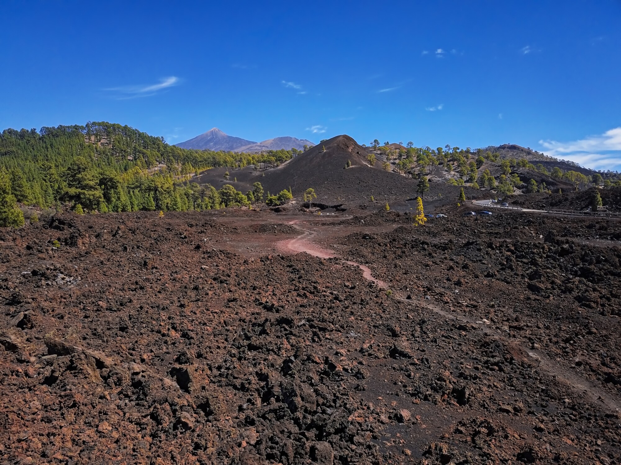Eine karge Vulkanlandschaft mit einigen kleinen Bäumen, hügeliger Struktur und größeren Bergen im Hintergrund.