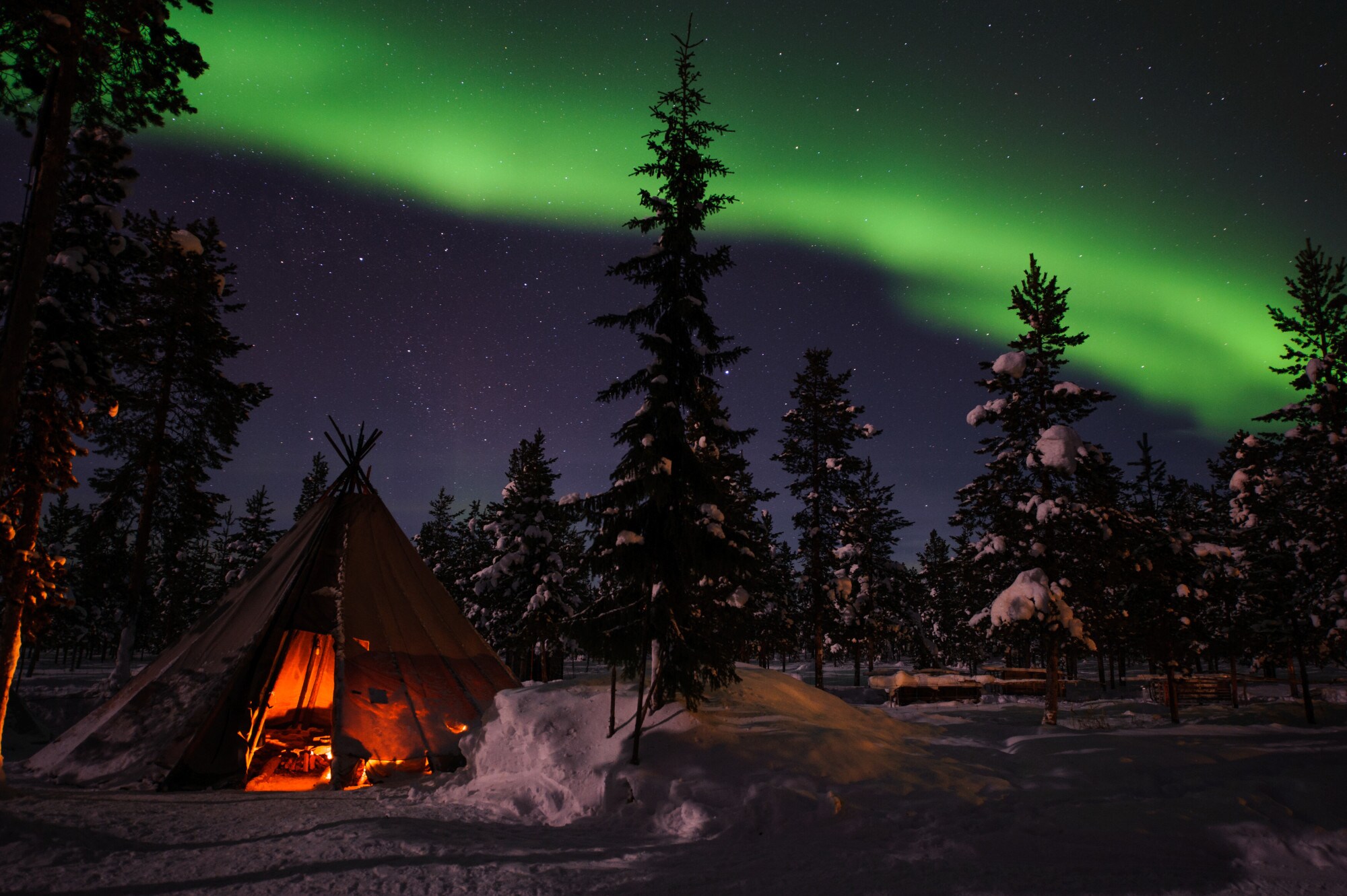 Grüne Polarlichter am Nachthimmel über einer winterlichen Landschaft mit schneebedeckten Bäumen und einem Tipi.