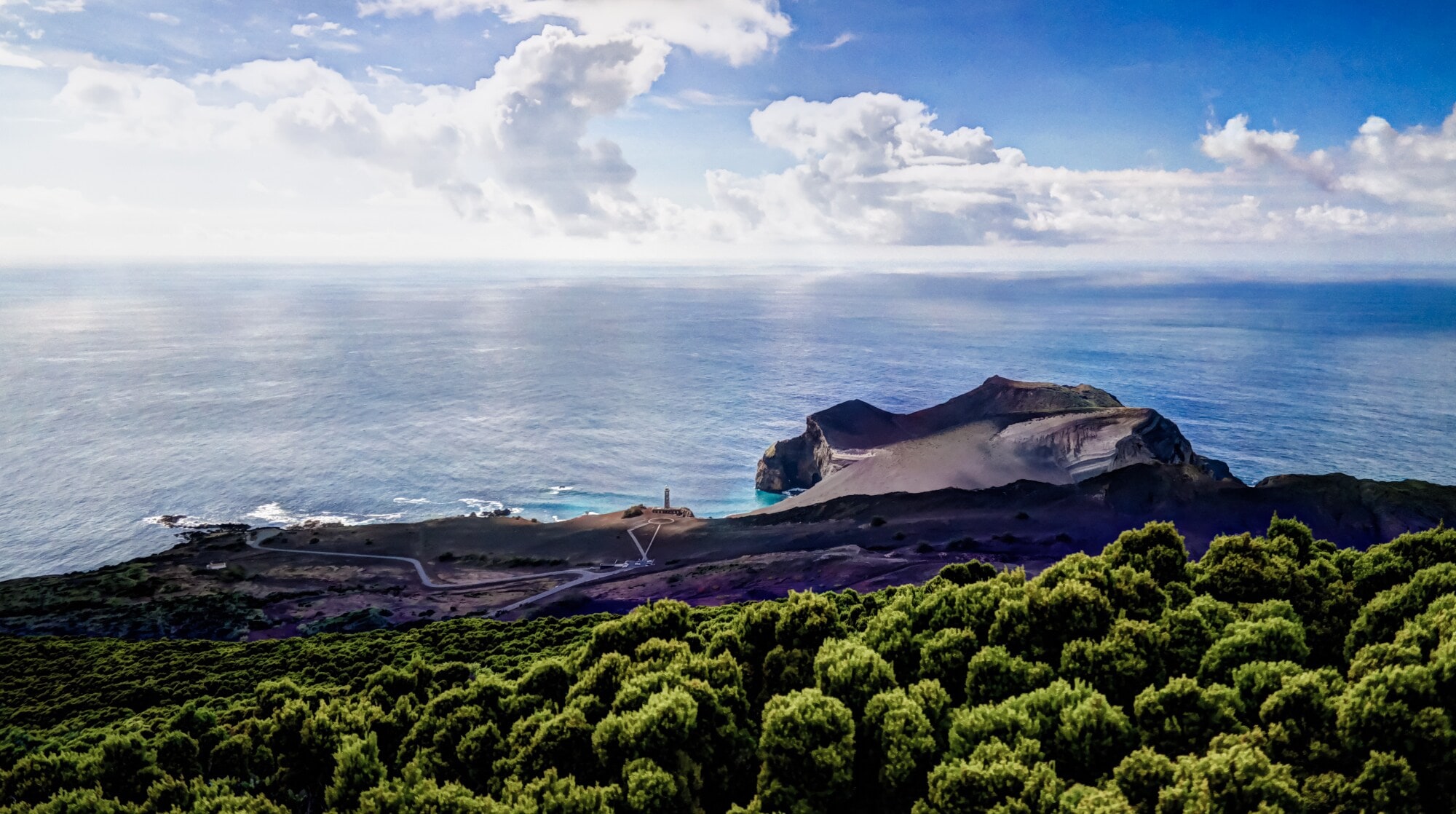 Felsküste mit schwarzen Klippen am Meer, im Vordergrund grüne Waldlandschaft. Felsküste mit schwarzen Klippen am Meer, im Vordergrund grüne Waldlandschaft.