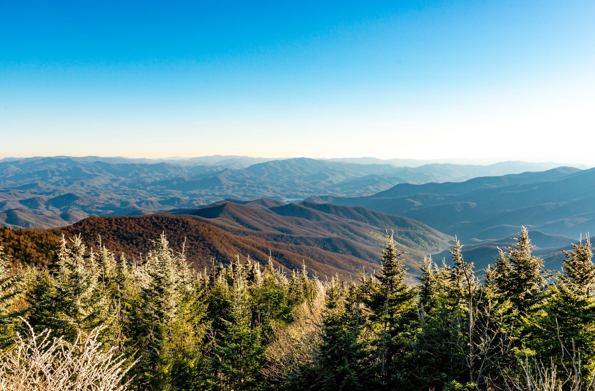 Panorama einer Berglandschaft mit Nadelbaumspitzen im Vordergrund. Panorama einer Berglandschaft mit Nadelbaumspitzen im Vordergrund.
