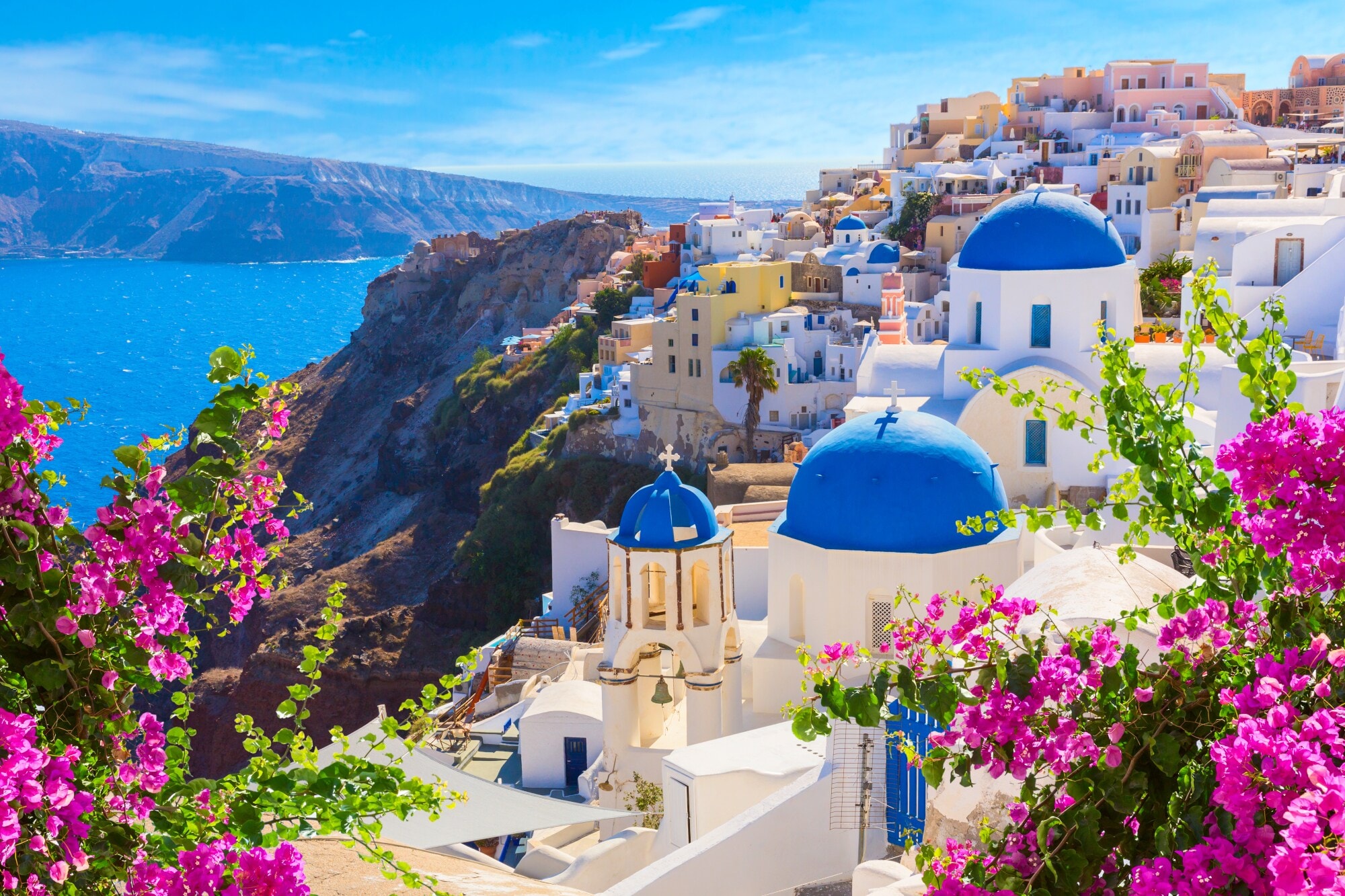 Steilküste von Santorin am Meer mit weißen Häusern mit blauen Dächern, im Vordergrund Bougainvillea. Steilküste von Santorin am Meer mit weißen Häusern mit blauen Dächern, im Vordergrund Bougainvillea.