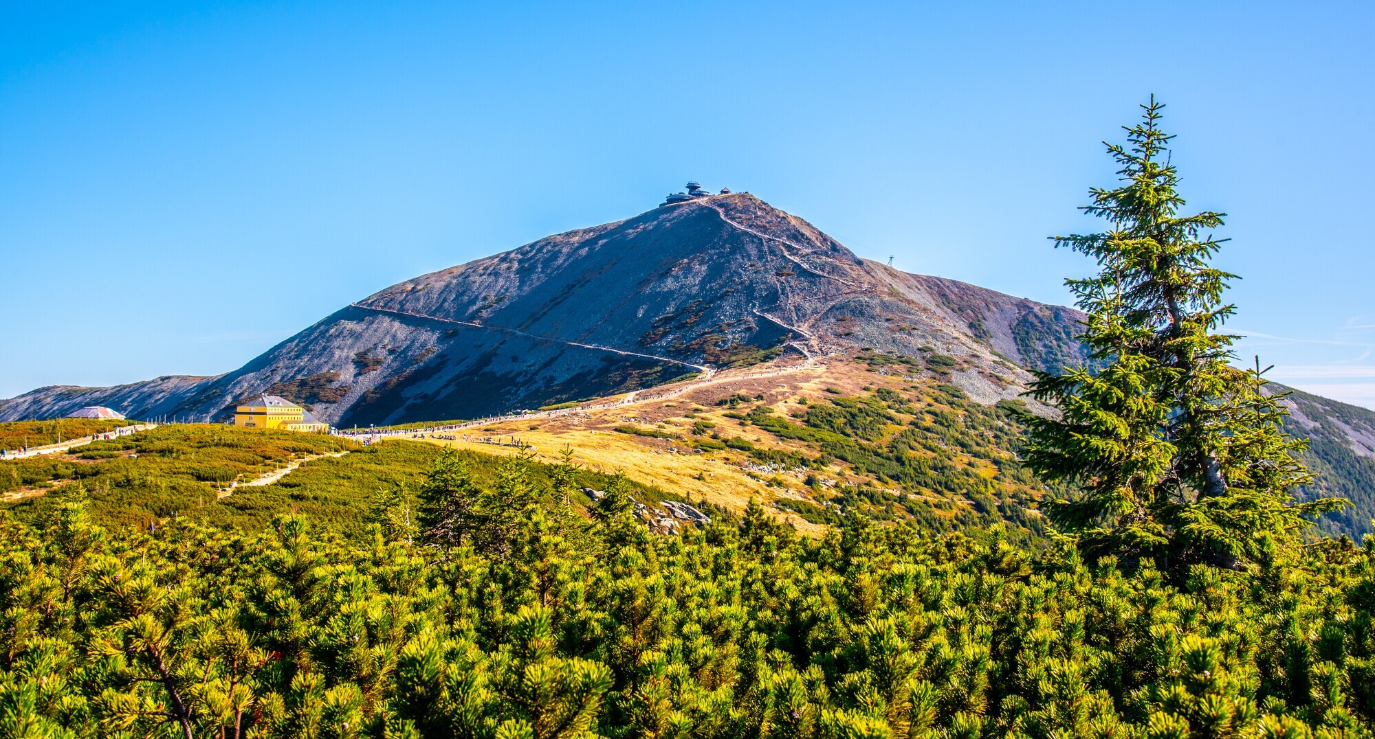 Flacher Berggipfel mit Waldfläche im Vordergrund.