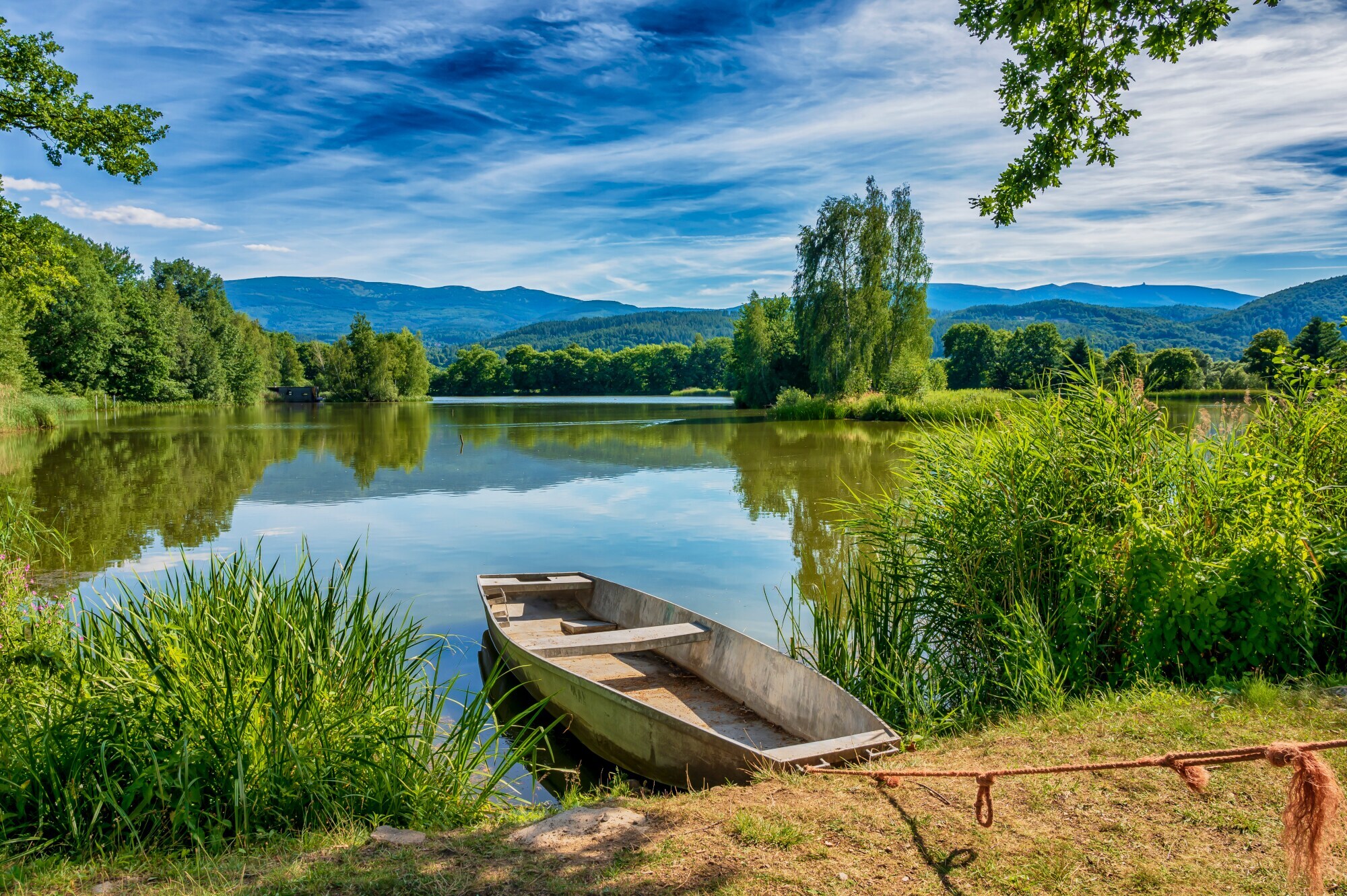 Ein angelegtes Ruderboot am Ufer eines Sees inmitten einer grünen Landschaft.