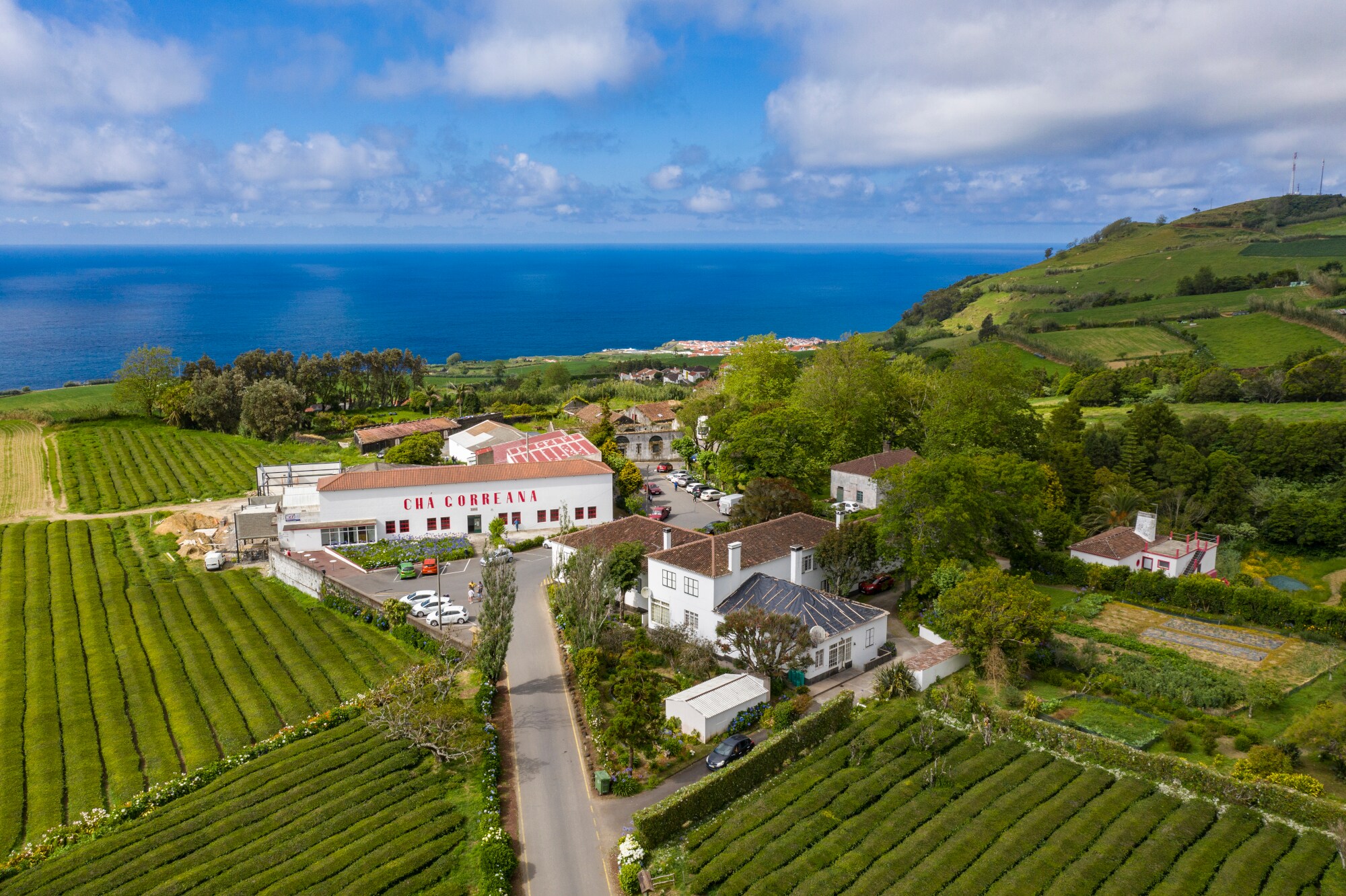 Teeplantage mit Gebäuden in grüner Insellandschaft vor Meerespanorama. Teeplantage mit Gebäuden in grüner Insellandschaft vor Meerespanorama.
