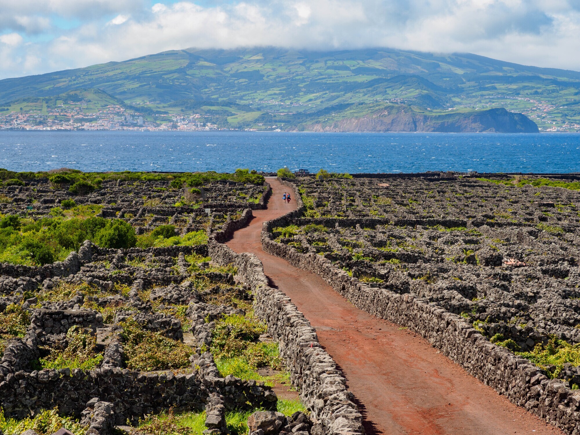 Weinbaugebiet am Meer mit von Lavamauern umgebenen Rebparzellen.
