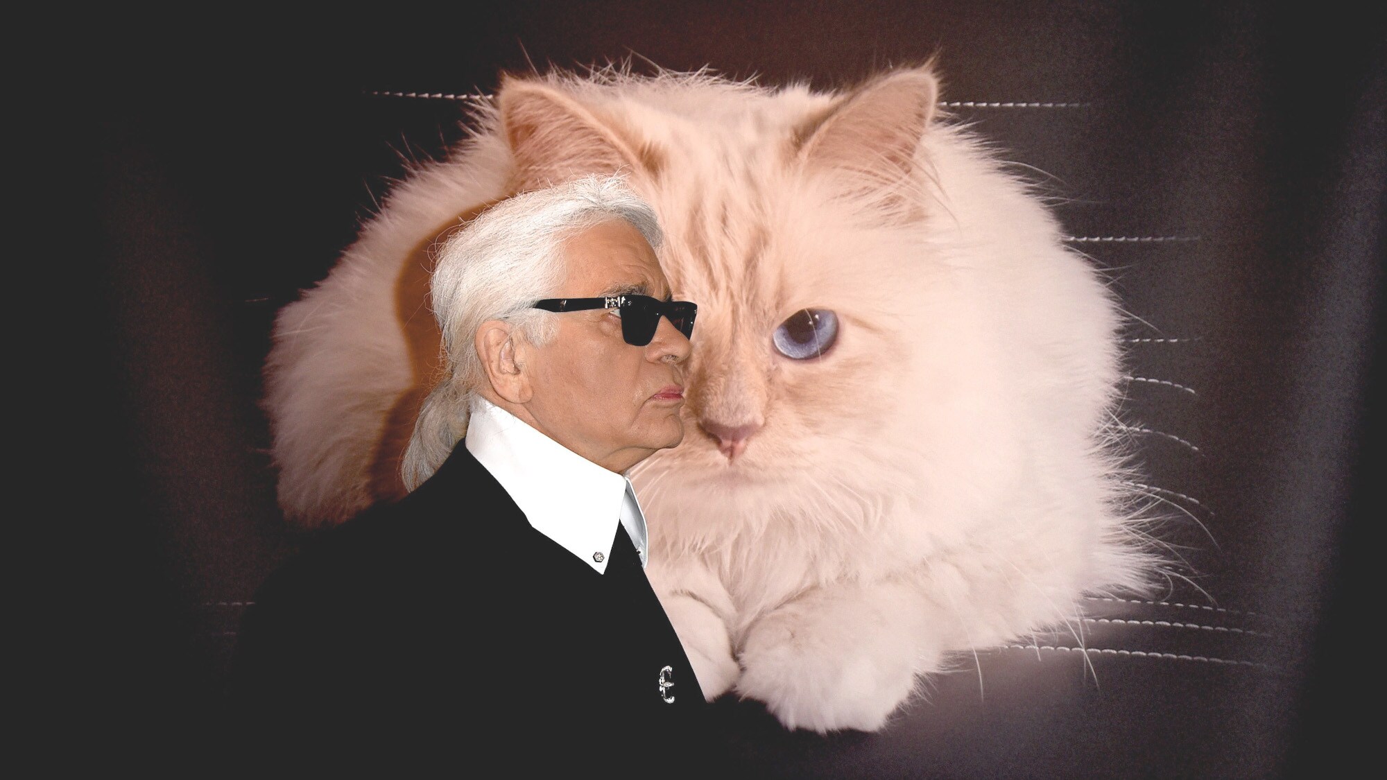 Profilansicht von Karl Lagerfeld mit schwarzer Sonnenbrille vor einem Fotoposter mit dem Motiv einer weißen Katze mit blauen Augen.