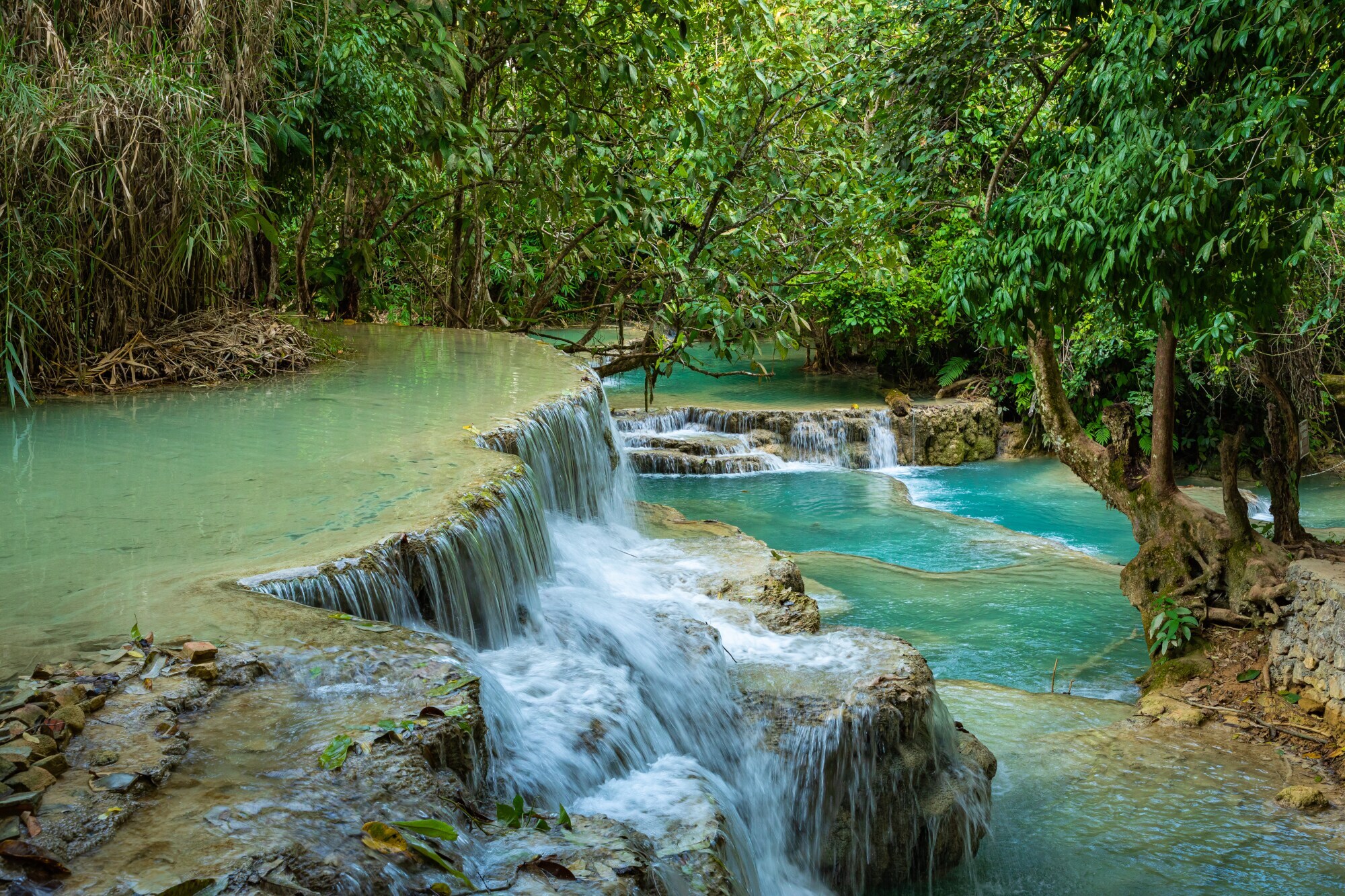 Eine Regenwaldlandschaft mit einem mehrstufigen Wasserfall. Eine Regenwaldlandschaft mit einem mehrstufigen Wasserfall.