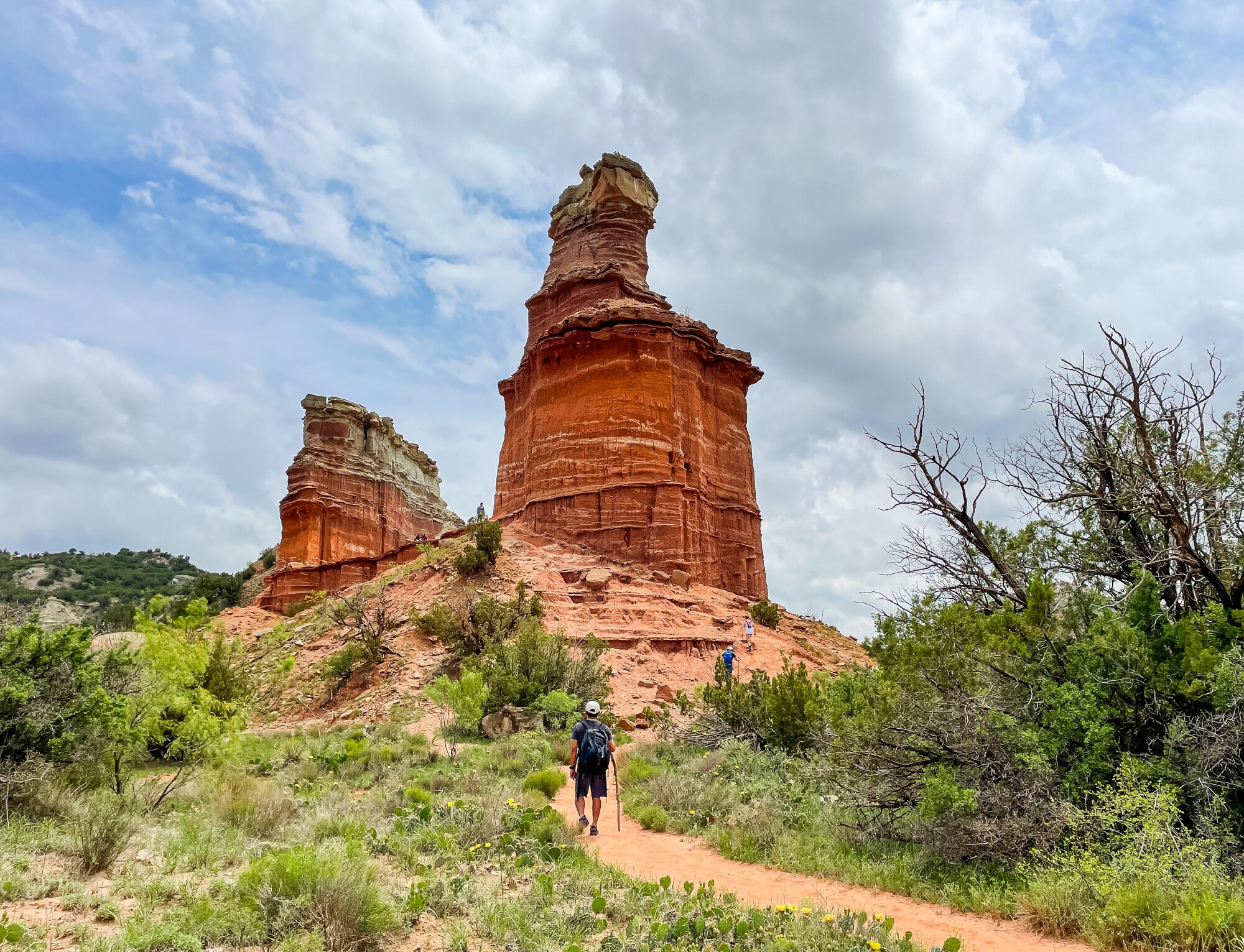 Rückansicht eines Mannes auf einem Wanderweg vor einer großen ristroten Gesteinsformation inmitten einer Wüstenlandschaft mit grünen Sträuchern.